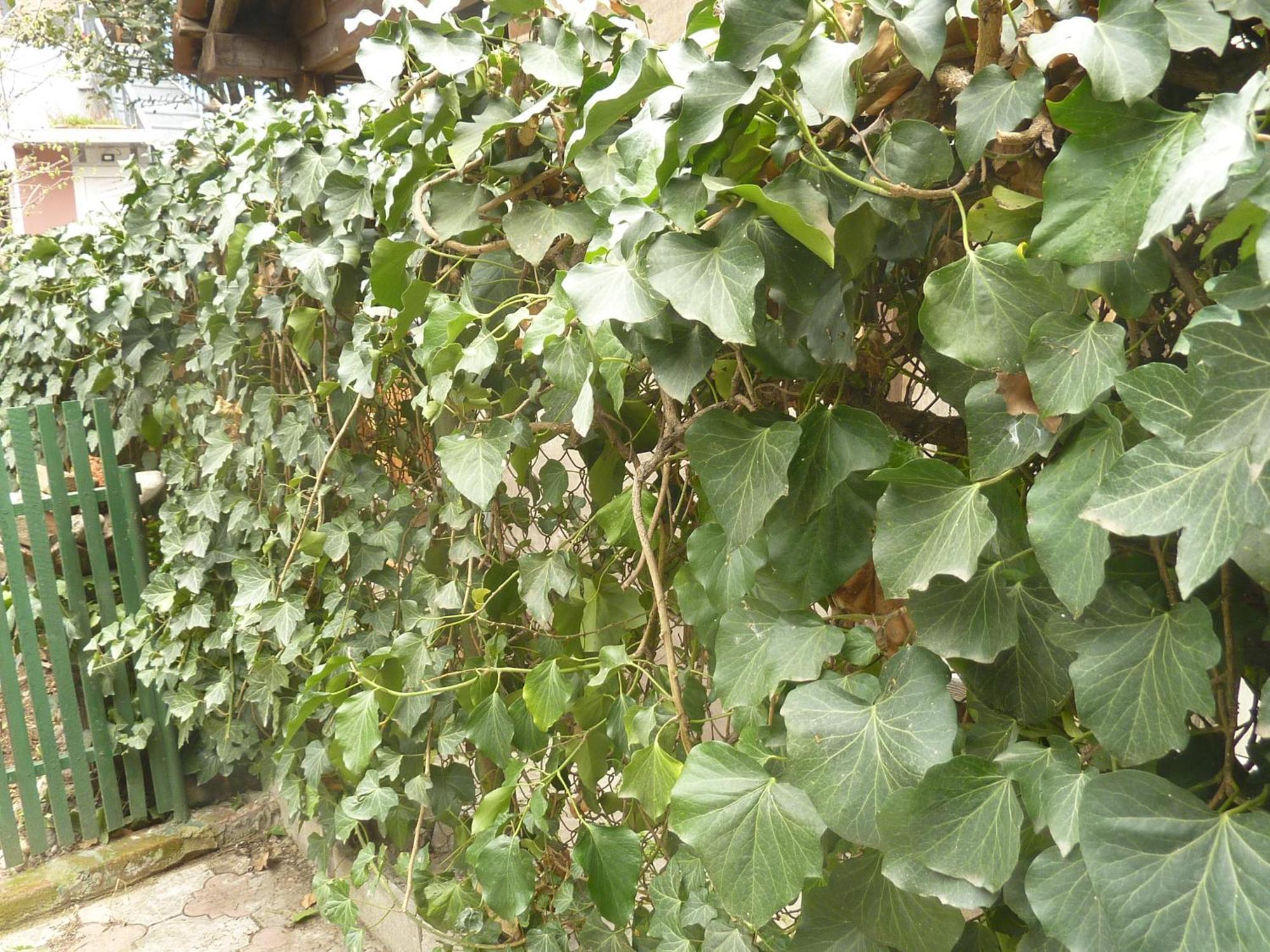 Gardens In Vake, Tbilisi Ξενοδοχείο Εξωτερικό φωτογραφία