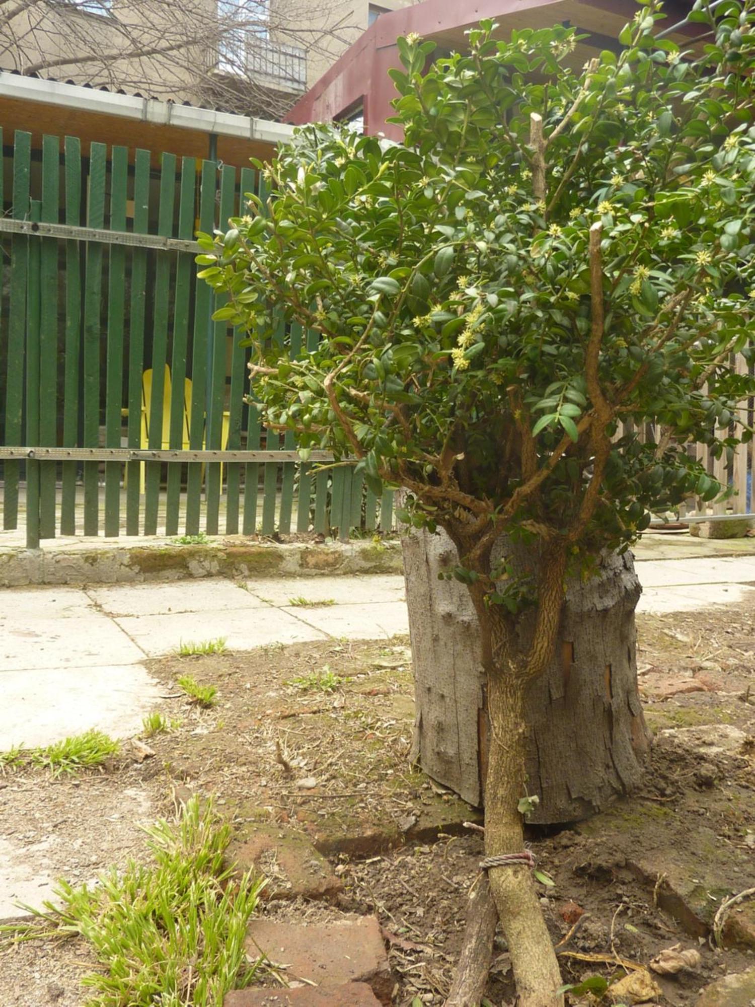 Gardens In Vake, Tbilisi Ξενοδοχείο Εξωτερικό φωτογραφία